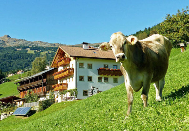 Offerte Di Lavoro In Agricoltura Con Vitto E Alloggio Svizzera Offerte di Lavoro in Fattoria con Vitto e Alloggio - Posizioni Aperte