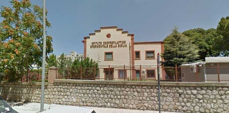 istituto-zooprofilattico-sicilia-concorsi