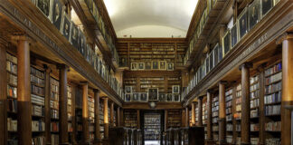 Bibliotecario concorsi