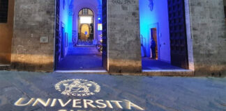 Università di Siena concorsi