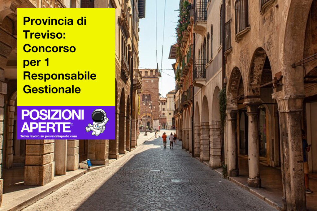 Provincia di Treviso - concorso per 1 responsabile gestionale
