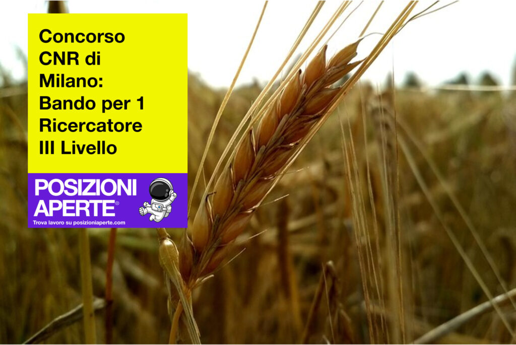 Milano corso 